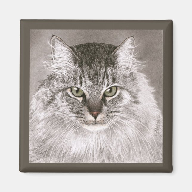 Imã Cat Magnet - "Merlin" (Frente)