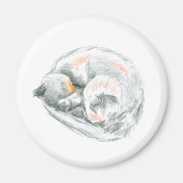 Imã Cat Nap (Frente)