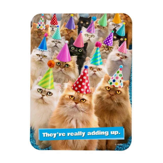 Ímã Cat Party (Vertical)