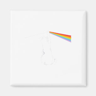 Imã Cat Rock Music Engraçado Cores de Gato