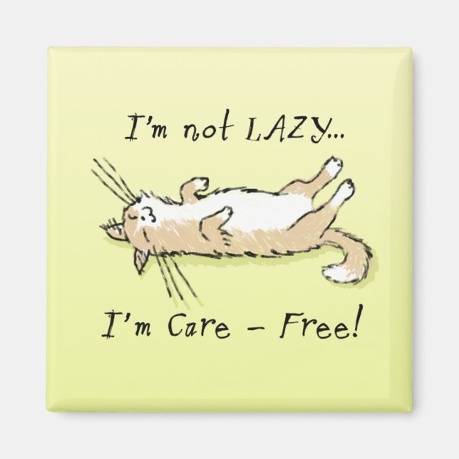 Imã Cat. Sem Cuidado (Frente)