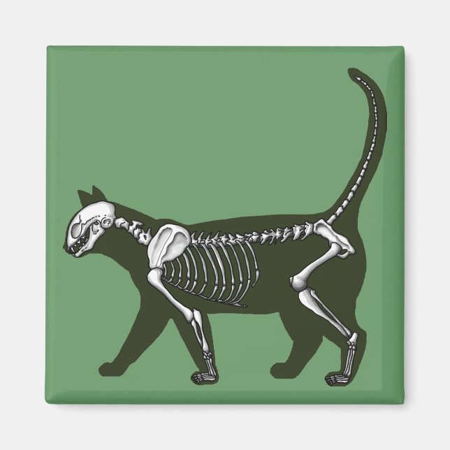 Imã Cat Skeleton (Frente)