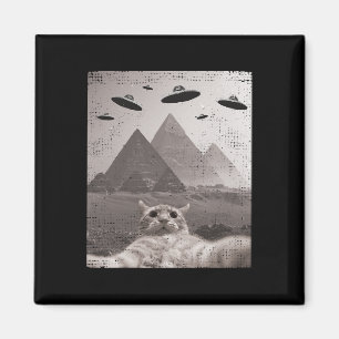 Imã Cat Ufo Meme - Gato Engraçado Selfie Com Ufos