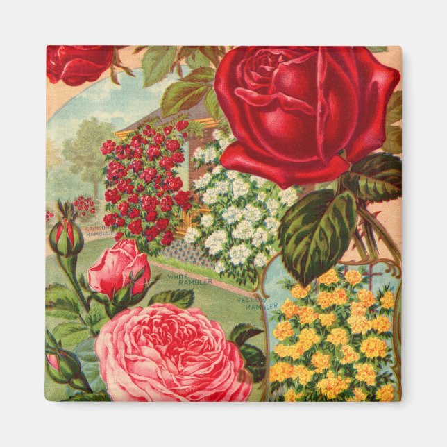 Imã Catálogo de Sementes 12 Íman (Frente)