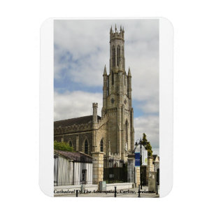 Ímã Catedral da Assunção, Carlow, Irlanda