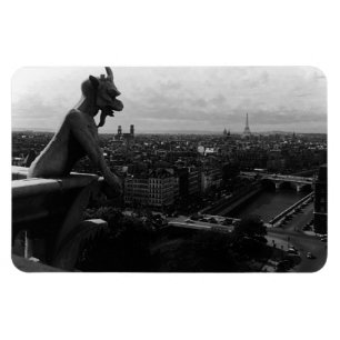 Ímã Catedral de Notre Dame Paris França vintage demôni