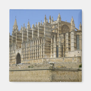 Imã Catedral de Palma