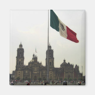 Imã Catedral en el Zocalo del DF con la Bandera