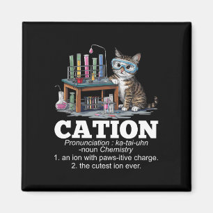 Imã Cation Chemistry Humor Science Professor Cat Pun D