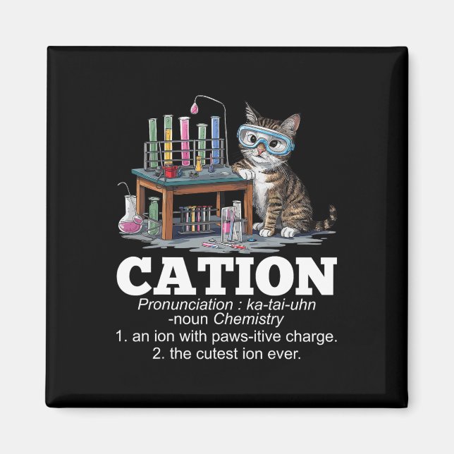 Imã Cation Chemistry Humor Science Professor Cat Pun D (Frente)