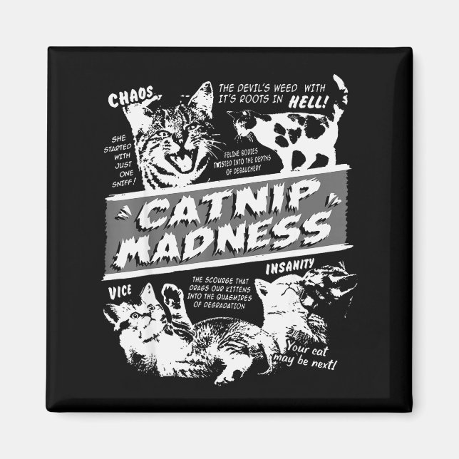 Imã Catnip Madness Cute Kitten Funny Cat Pet Humor  (Frente)