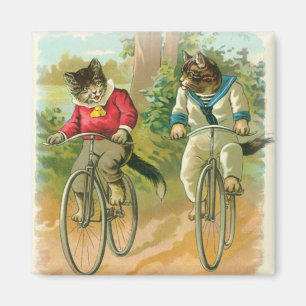 Imã Cats Riding Bikes