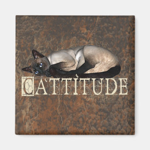 Imã Cattitude