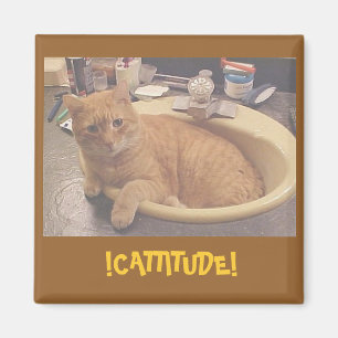 Imã ! CATTITUDE! , (ou porque eu não posso limpar) í