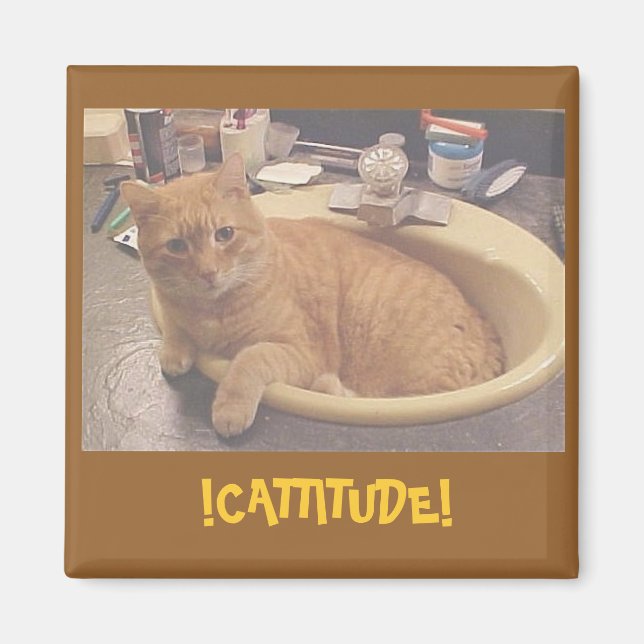 Imã !CATTITUDE!, (ou porque não posso limpar) ímã (Frente)