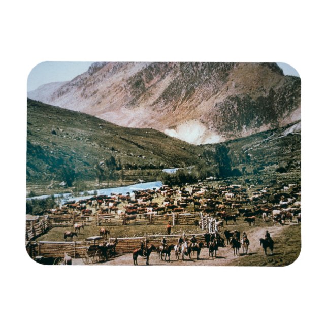 Ímã Cattle Ranch, Colorado, 1899 (foto) (Horizontal)