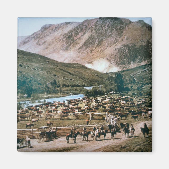 Imã Cattle Ranch, Colorado, 1899 (foto) (Frente)
