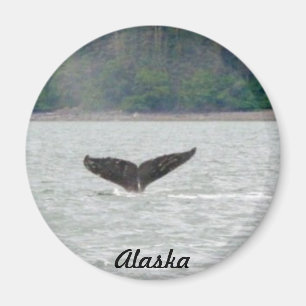 Imã Cauda da baleia de Alaska