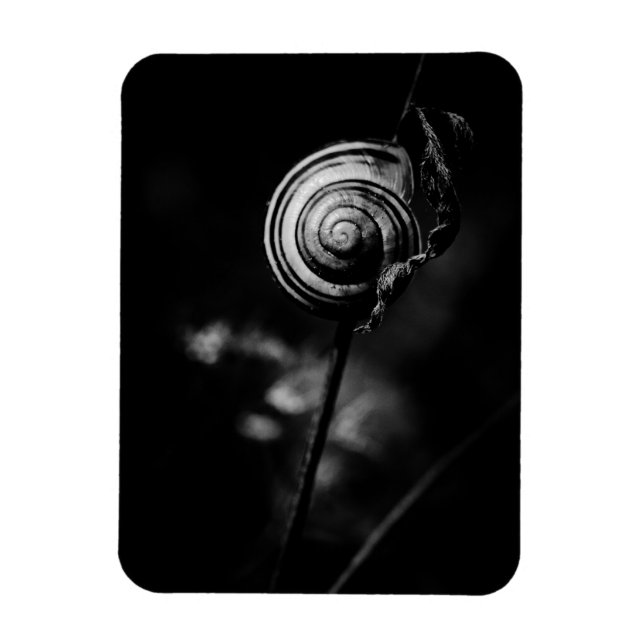 Ímã cauda de caracol (Vertical)
