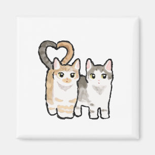 Imã Cauda do Amor