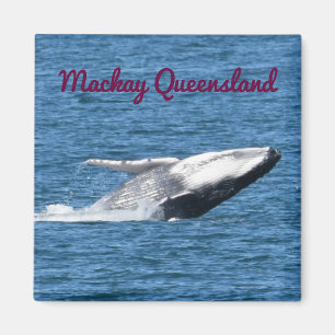 IMÃ CAUDA MACKAY QUEENSLAND AUSTRÁLIA DA BALEIA DE