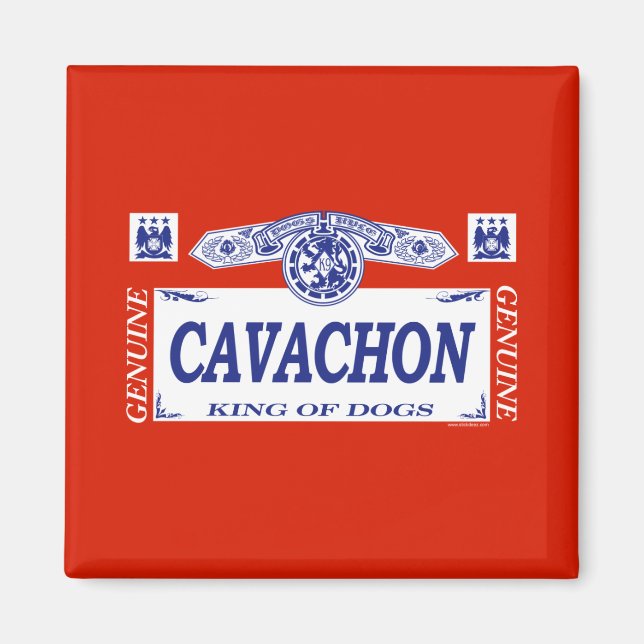 Imã Cavachon (Frente)