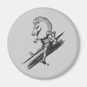 Imã Cavaleiro Branco