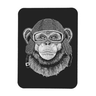 Ímã Cavaleiro da motocicleta do chimpanzé
