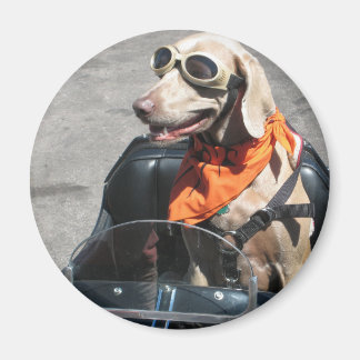 Imã Cavaleiro fácil