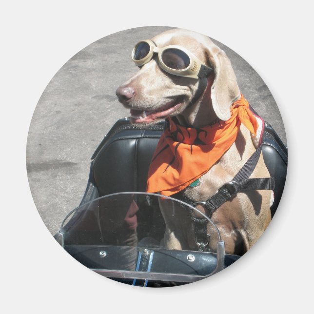 Imã Cavaleiro fácil (Frente)