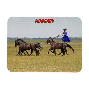 Ímã Cavaleiro húngaro