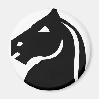 Imã Cavaleiro Negro