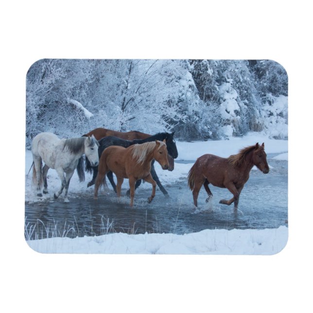 Ímã Cavalgada no Inverno (Horizontal)