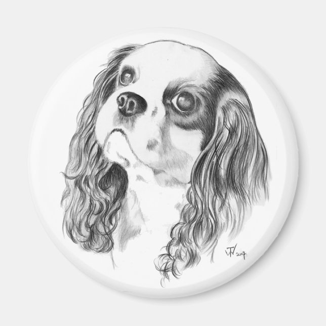 Imã Cavalier King Charles Drawing (Frente)