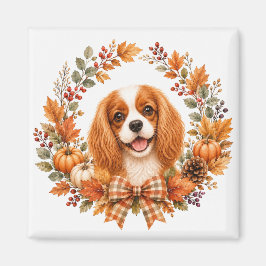 Imã Cavalier King Charles Outono