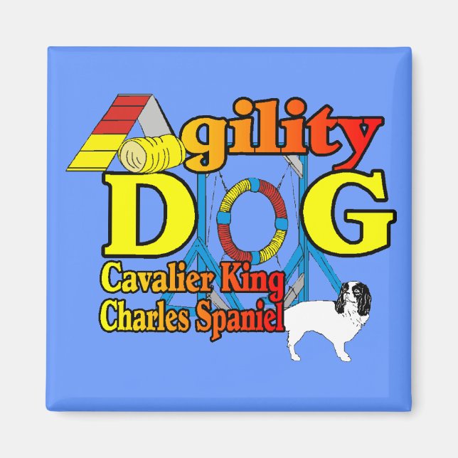Imã Cavalier_King_Charles_Spaniel_Agilidade (Frente)