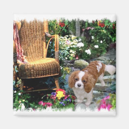Imã Cavalier King Charles Spaniel Art
