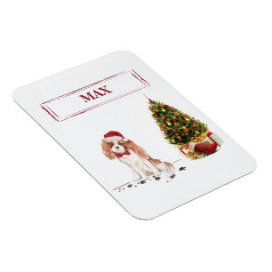 Ímã Cavalier King Charles Spaniel Cachorro Natal Diver