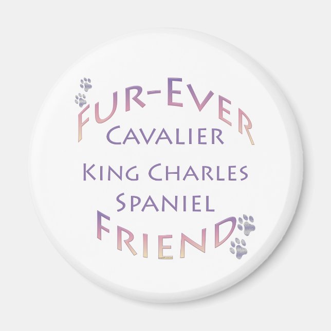 Imã Cavalier King Charles Spaniel Fuere (Frente)