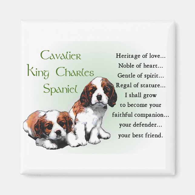 Imã Cavalier King Charles Spaniel Gifts (Frente)