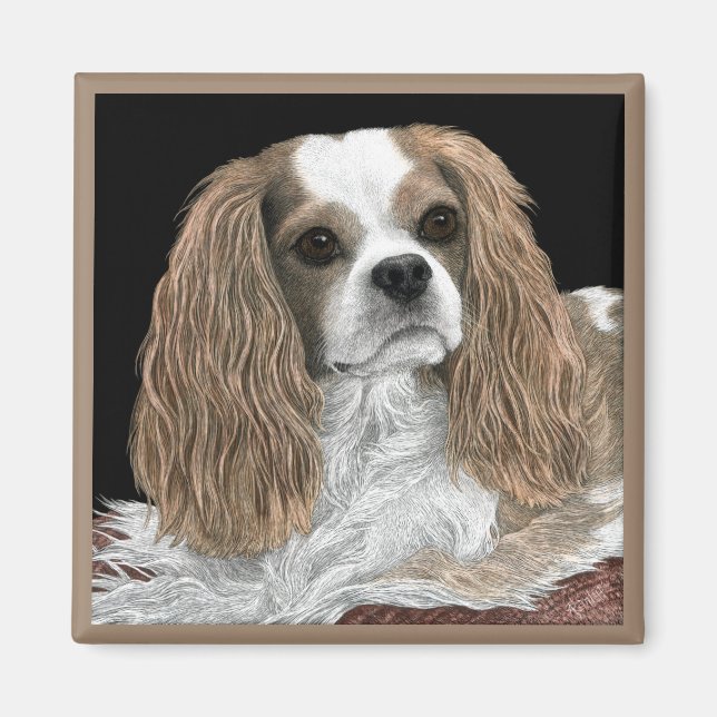 Imã Cavalier King Charles Spaniel Magnet - "Bella" (Frente)