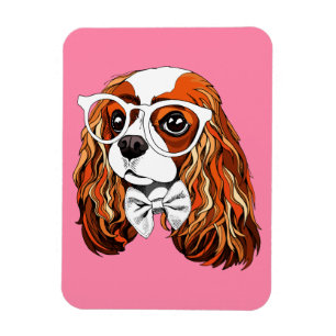 Ímã Cavalier King Charles Spaniel Portrait