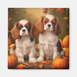 Imã Cavalier King Charles Spaniel Puppy Autumn Pumpkin