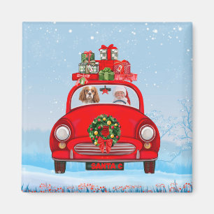 Imã Cavalier King Dog Em Carro Com Papai Noel