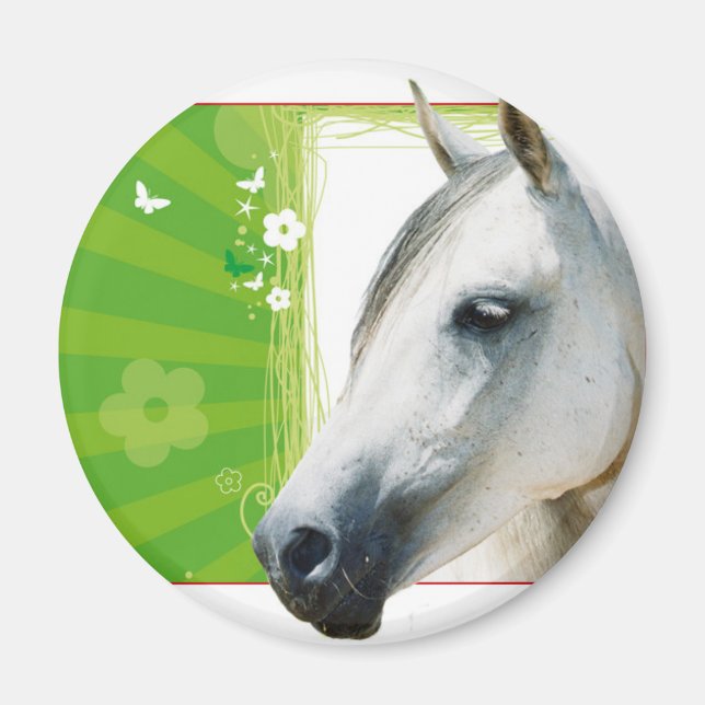 Imã Cavalo (Frente)