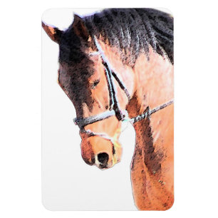 Ímã Cavalo