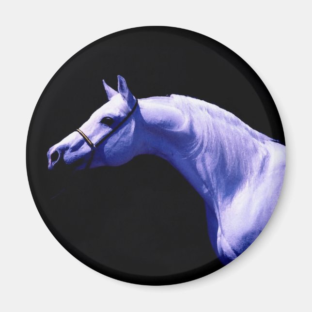 Imã Cavalo (Frente)