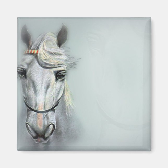 IMÃ CAVALO (Frente)