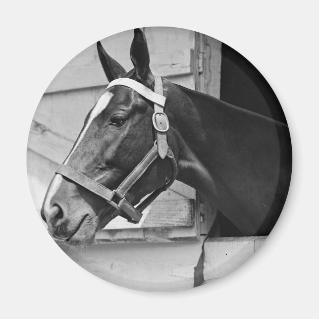 Imã Cavalo (Frente)