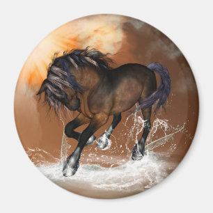 Imã Cavalo